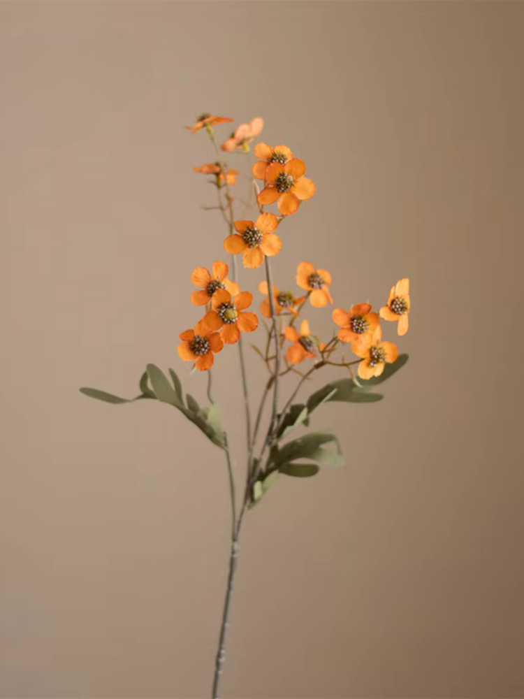 Wildflower Blossom Branch Stem