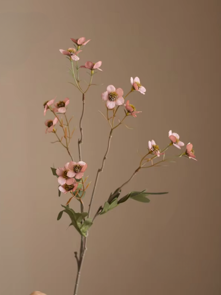 Wildflower Blossom Branch Stem