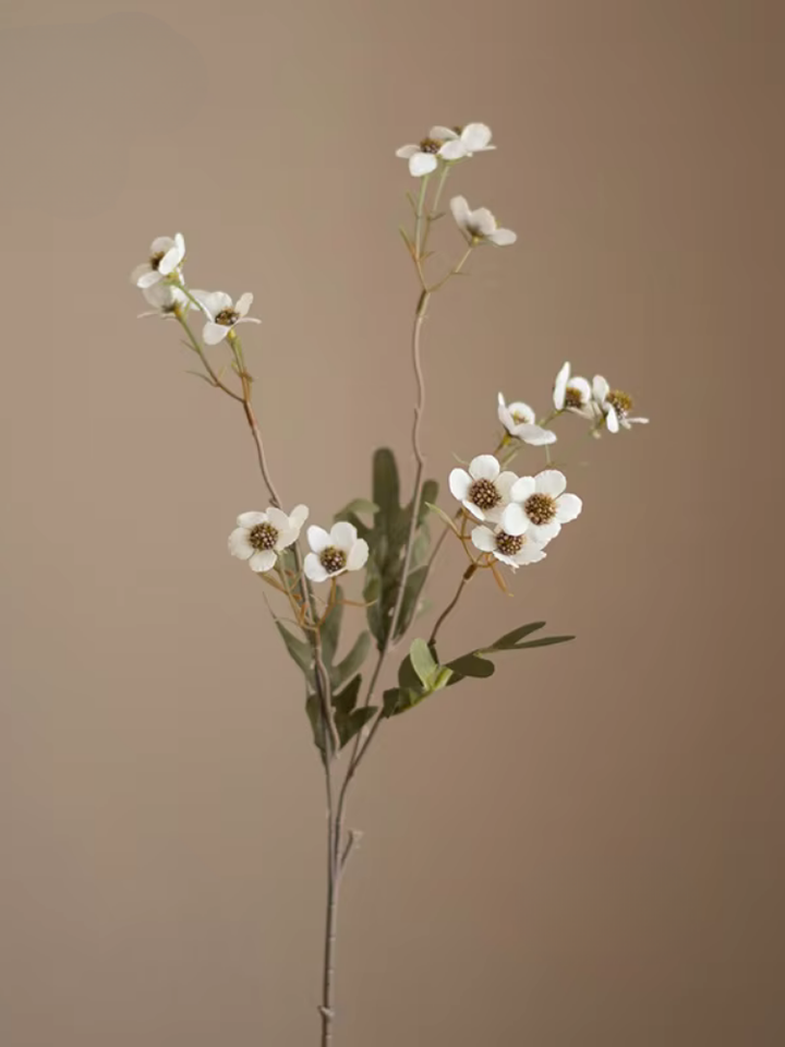Wildflower Blossom Branch Stem